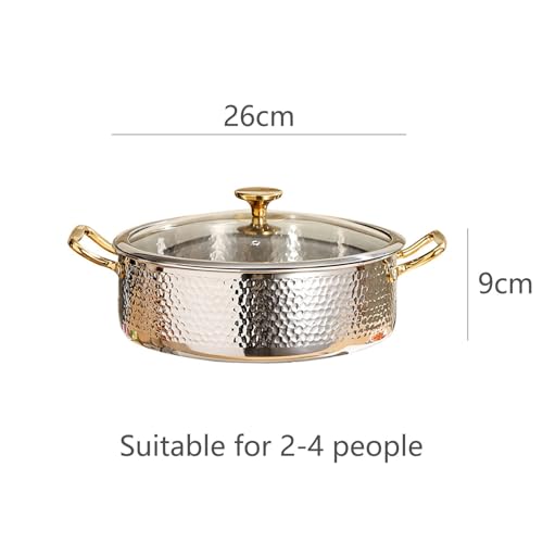 SAeWare Pentola in acciaio inossidabile 304, fatta a mano con coperchio, elegante casseruola per cucina e cucina domestica, argento, 28 cm