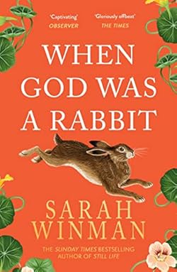 When God was a Rabbit cover image