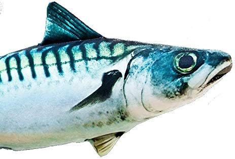 Mackerel Cushion
