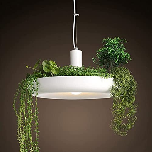Lustre de plafond pour plantes : gagnez de la place et illuminez vos pièces sombres avec style
