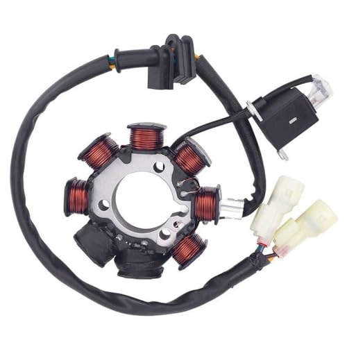 Stator d'allumage pour TRX250TE et TRX250TM Recon modèles 2005 à 2020