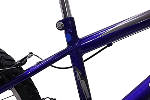 Bicicleta Aro 20 Infantil Meninos Passeio+Rodinhas De Brinde (Azul)