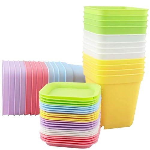 Xionghonglong Anzuchttöpfe, 24 Stück 7CM Plastik...