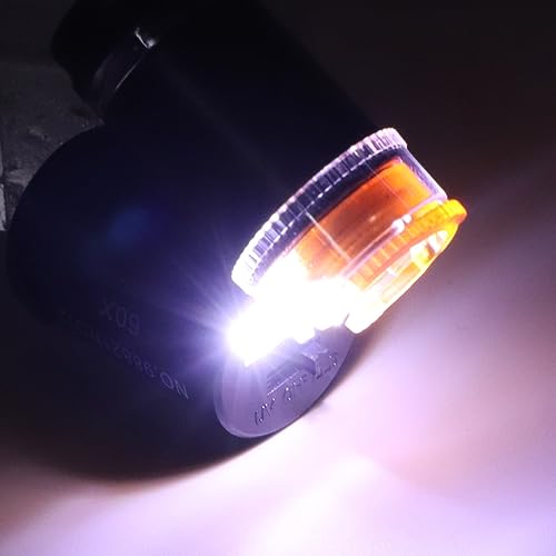 Mini Microscópio LED 60X, Microscópio De Bolso Com Detector De Moeda UV, ângulo De Luz Ajustável, Lu