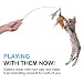 Pawaboo Juguete/Pluma de Gato - Interactive Colector del Gato con Extra Largo...