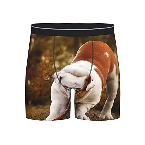 Men's Underwear, Bulldog Biting a Branch Men's Boxer Briefs, Soft Comfortable Underwear Boxer Shorts