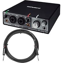 Roland RUBIX22 2-In 2-Out USB Audio Interface Bundle with Instrument Cable