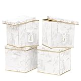 DAMAHOME Storage Cubes with Lids - 11inch Foldable, Fabric Dual Handles Storage Box, Closet Organizer Shelf Baskets, Nursery Bins for Home&Office...