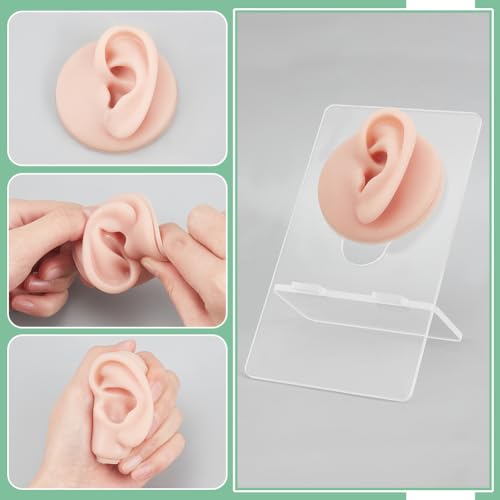 nbeads 2 Stk. Silikon Ohr Modell mit Acryl Ständer, Linkes und Rechtes Flexibles Modell Piercing Praxis Realistische Weiche Ohr Form für Schmuck Display Akupunktur Schaufensterpuppe Lehre
