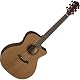 Baton Rouge AR21C/ACE Akustikgitarre Vergleich und Informationen