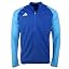 Team Royal Blue-pulse Blue
