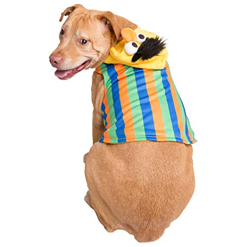 Disfraz Bert para perro talla pequeña miniatura 4