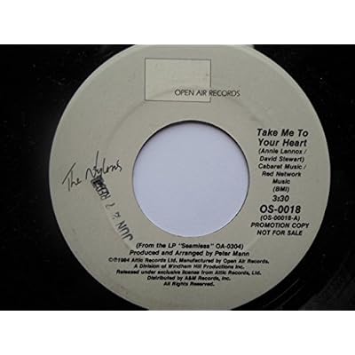 Nylons Take Me To Your Heart 7" Open Air OS0018 EX 1980s US pressing, demo