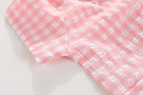 Little Girls Plaid Summer Pleat Zipper Dresses4