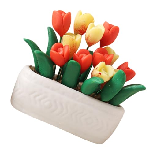 Mikinona ~j`AA`[bvf lHA ~j~͑ ~jnEXK[fp CeAI[ig