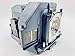 Jaspertronics™ Original ELP-LP96 Lamp & Housing for Epson Projectors with Original Specification and Full lifespan Bulb Inside - 1 Year Warranty