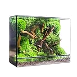 【HANDMADE DECORATION】Le terrarium en verre est fait de laiton de haute qualité et de matériaux en verre trempé, et chaque détail a été soigneusement fabriqué par des artisans, ce qui en fait une pièce artistique adaptée à la décoration de table. Il peut également être utilisé comme boîte d'exposition, boîte de cartes de mariage ou boîte de stockage.