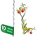 Produktbild Novatool 10 Stück Tomatenstäbe 170 cm x 5 mm Ø Tomatenspiralstäbe verzinkt Rankstäbe Tomatenstangen 170cm Tomaten Rankhilfe Pflanzstäbe Tomatenstab Pflanzständer Pflanzstecker Tomatenspiralstab