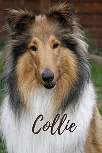Collie: Notebook, dogs, journal, diary (110 Pages, Blank, 6x9)