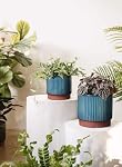 LE TAUCI Pots en céramique, ensemble de 3, 8+6.7+5.5 Pots de plantes intérieurs avec drainage, moderne & Planteurs durables, parfaits pour la maison & Bureau, Pot Plante Interieur, Réactif Glaze Green