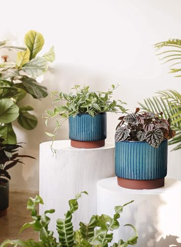 Image of LE TAUCI Ceramic Plant Pots with Drainage Holes, Set of 3, 8+6.7+5.5 Inch Stripe Garden Planter Pots for Outdoor Indoor Plants Flower, Round Succulent Orchid Flower Pot, Reactive Glaze Green
