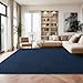 Blue Rug for Bedroom Living Room, 5x7 Feet Memory Foam Soft Modern Indoor Fuzzy Shaggy Area Rugs, Low Pile Carpet for Kids Room Nursery Home Decor