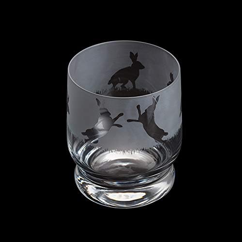 Dartington Crystal Aspect Tumbler Cycling, 1 Count (Pack of 1)