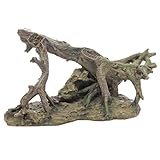 Hobby Aquaristik River Root 2 I 34,5 x 20,5 x 18 cm I Natürliches Aussehen I Integrierte Höhle als Versteckmöglichkeit I Keinen Einfluss auf die Wasserqualität
