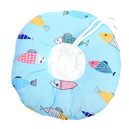 Hohopeti 1 L wbhMA T[N L x b xbh p P[W L R[ D L  gbJ[  qL R[ qL  xt ݕt 