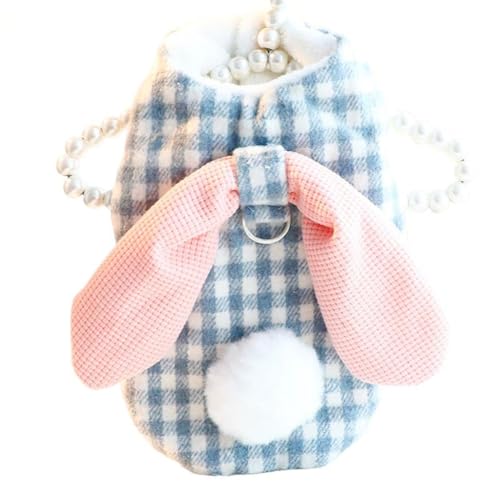 ICOUCHI  ybg xXgWPbg H~ ^ m  hbOEFA wJ p[J[ Ȃ g h R[g Č Hc Eѕی o U (XL,u[)