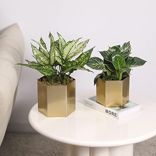 MyGift Handcrafted Metallic Shiny Brass Metal Indoor Plant Vase Pot with Hexagon Shape, Decorative Succulent Cactus Planter Container, Set of 2 - Handmade in India