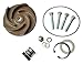 DAYTON 21TG79 Pump Repair Kit,For 2ZWX7A