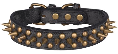 t` uhbO̎ xbgt݂h~ybg xbgtp ߉\ ^ ^ ^ ybgpi SǐɓKp (ubNA,M)