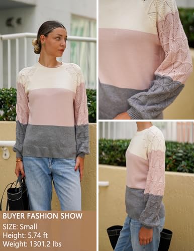 Zeagoo Womens Sweaters 2025 Long Sleeve Crew Neck Lightweight Pullover Knitted Cute Fall Fashion Tops2