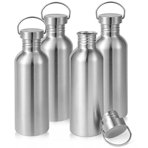 4 Pack, Stainless Steel Reusable Water Bottles With Handle, 