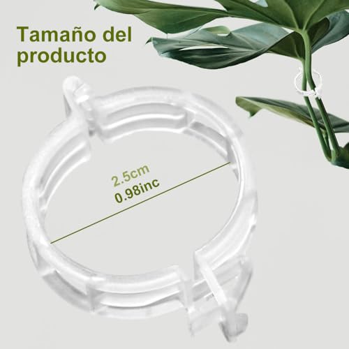 Consejos y comparativas para Comprar Toquillas comprados en linea. 9 Imagen adicional