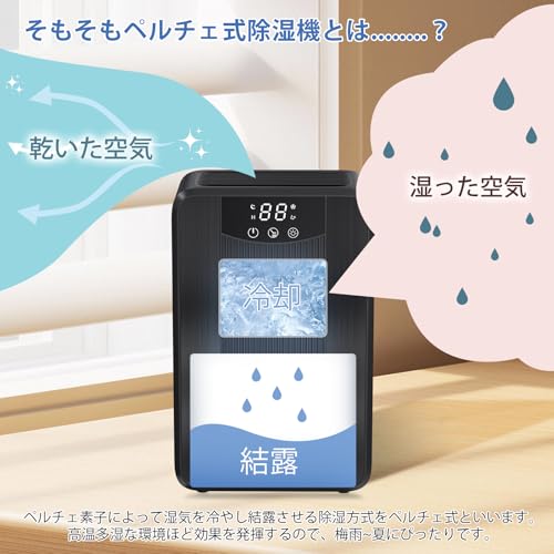 Boweer 除湿機 1000ml ペルチェ式 ブラック