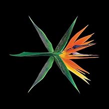 EXO The War 4th Album Chinese Random Verion Regular A or Regular B or Private Ver. Photobook+PhotoCard K-POP Sealed Ko Ko Bap