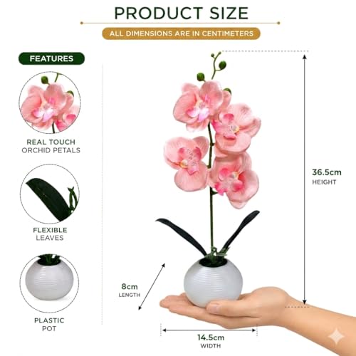 Image of CURATED CART Artifical Orchid Flower Pot, Peach Flower with Vase, Ideal for Home Decor, Office Decor, Gifting, 4 Flower Heads, Size 36 x 9cm
