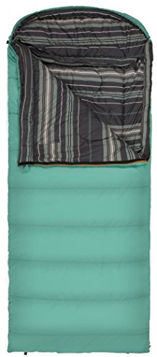 TETON Sports Celsius Regular Sleeping Bag; Great for Family Camping