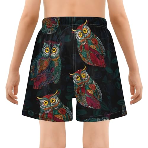 Bolaz Toddler Boys Swimwear Swim Trunks with Compression Liner 4T Ethnic Owl3