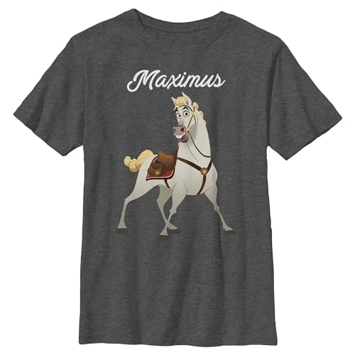 Boy's Tangled Maximus Large Portrait T-Shirt - Charcoal Heather - X Large