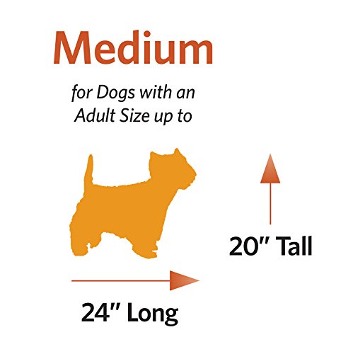 Midwest Homes For Pets Quiet Time Teflon Gray Pillow Dog Bed 36X27, 27 X 36, Medium Dog Breed, Gray Geometric Pattern #TOP4