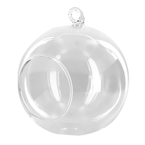 Dia.10cm Vase Suspendu en Verre Transparent Boule pour Plantes Fleurs Décoration de Jardin Maison