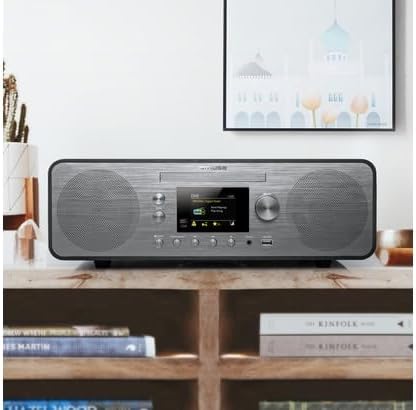 Muse M-885 DBT Micro System in a living room setting