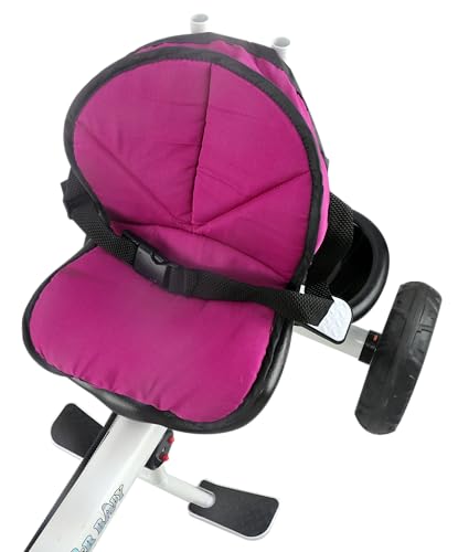 Image of Toyzoy Mario Cycle for Kids (Ages 2 to 5 Years) | Tricycle for Boys & Girls|Cycle with Cushioned & Comfortable Seat, 360* Rotating Seat, Non- Slippery Pedals | Carrying Capacity - 30kgs (Pink)
