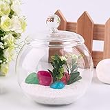 Materiale: vetro e cristallo SSXCO 1 Set Diametro 10 cm Trasparente Micro carnoso briofite Paesaggio Vaso di Vetro Bottiglia con Coperchio Decorazioni per la casa di Nozze Regali Artigianali, Trasparente, Cina