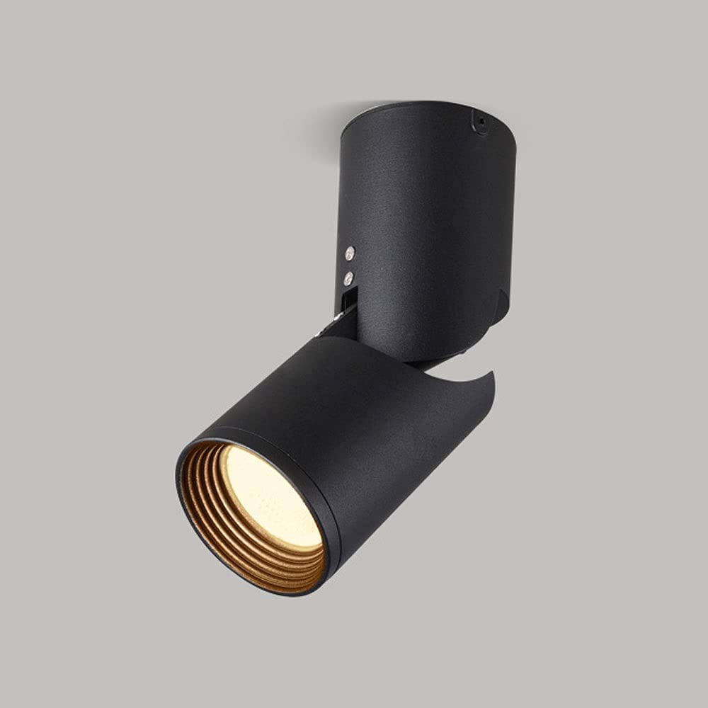 Faretti da soffitto Regolabili, faretti da Incasso a LED da 12 W, direzionali, Regolabili a 90 Gradi, faretti da soffitto monopunto per Interni, Ingresso, Soggiorno, Cucina (Nero-6