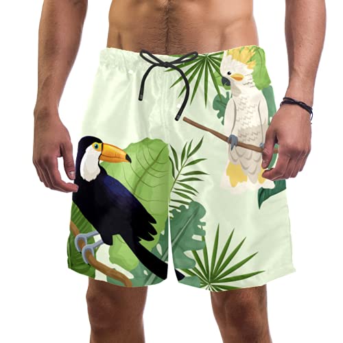 Short de bain pour homme à motif toucan et feuilles tropicales séchage rapide