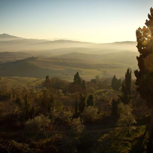 『Pjmxxlxdeu Reader's Digital Perspective』のカバーアート